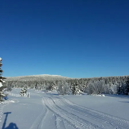Glomstad Tretten