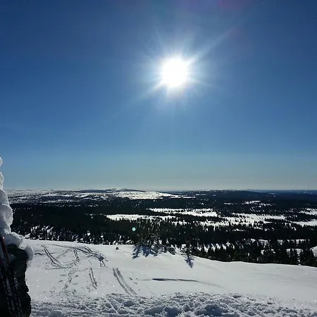 Glomstad Tretten