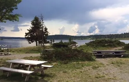 Glomstad Tretten