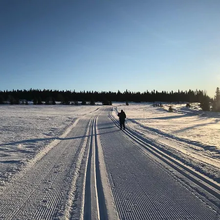 Han/Misafirhane Glomstad Tretten