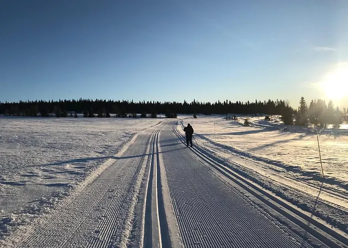 Han/Misafirhane Glomstad Tretten