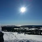 Glomstad Tretten