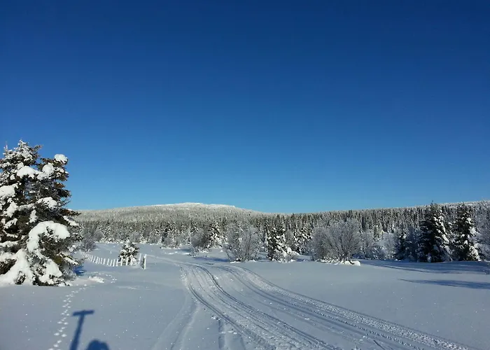 Glomstad Tretten