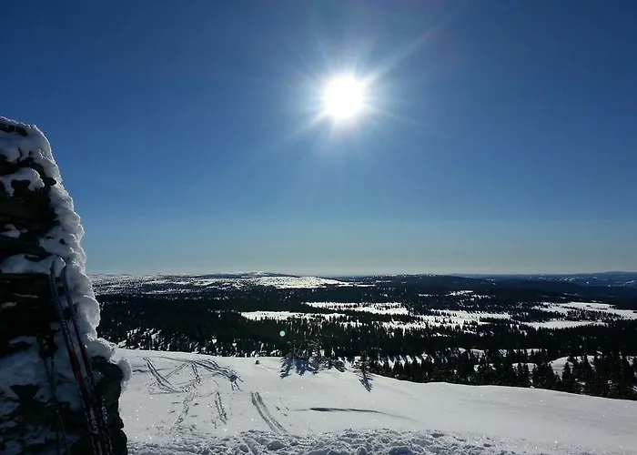 Glomstad Tretten