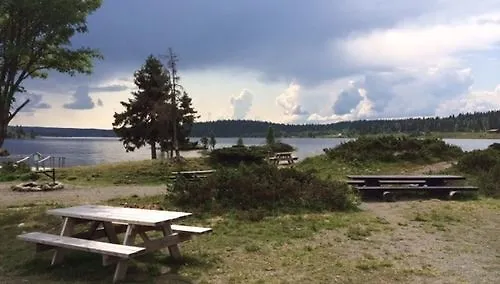 Glomstad Tretten
